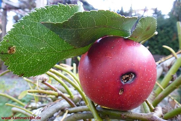 DENKANSTOß SEPTEMBER 2019