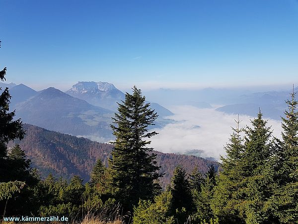 Denkanstoß Oktober 2020